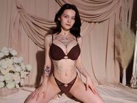 livecam AniParadiser